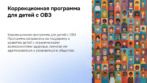 Коррекционная программа для детей с ОВЗ