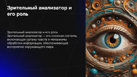 Зрительный анализатор: строение глаза и его значение