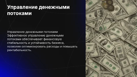 УПРАВЛЕНИЕ ДЕНЕЖНЫМИ ПОТОКАМИ В ОРГАНИЗАЦИИ