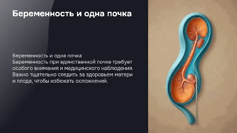 Беременность при единственной почке