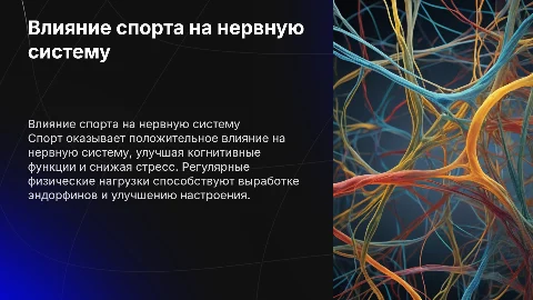 Влияние спорта на нервную систему человека