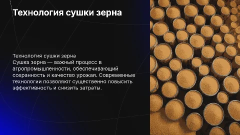 Технология сушки зерна