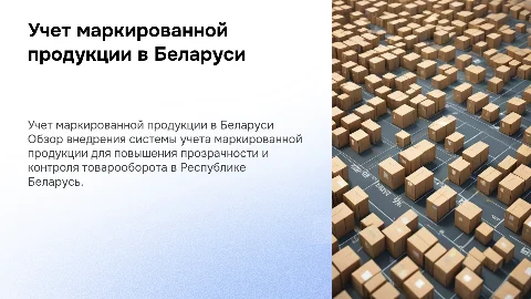 Внедрение учета маркированной продукции в Беларуси