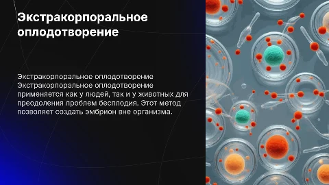Экстракорпоральное оплодотворение у человека и животных