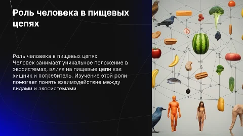 " Положение человека в цепях питания "