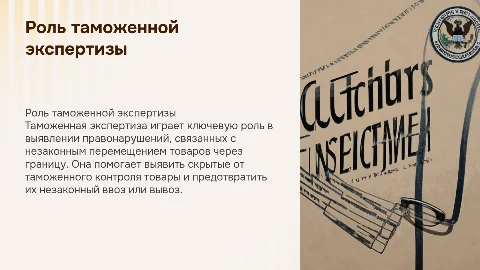 Роль и место таможенной экспертизы товаров в правонарушениях