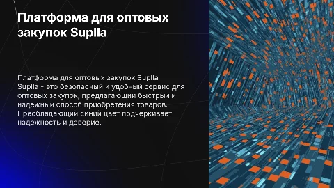 Платформа для оптовых закупок Suplla: безопасность и удобство