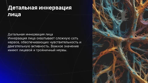 иннервация лица подробно