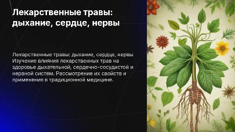 Лекарственные травы для дыхательной и сердечно-сосудистой систем