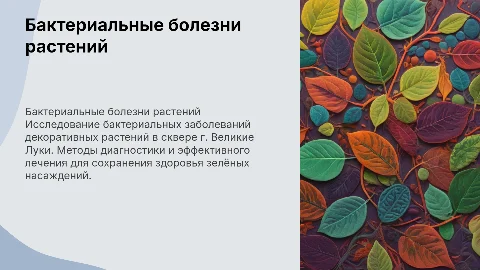 Бактериальные заболевания декоративных растений: диагностика и лечение
