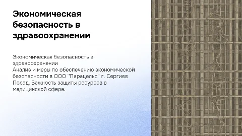 Экономическая безопасность в здравоохранении: ООО "Парацельс"