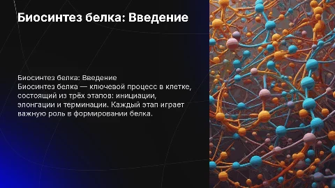 Биосинтез белка: 3 этапа и их значение