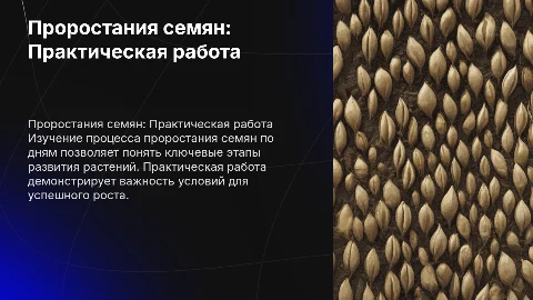 Проростания семян по дням. Практическая работа
