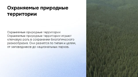 Охраняемые природные территории: типы и принципы создания