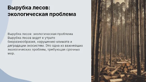 Вырубка лесов- экологическая проблема