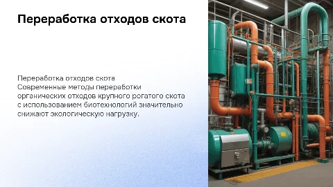 Переработка отходов крупного рогатого скота: биотехнологии