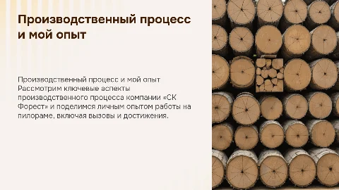 Производственный процесс компании «СК Форест» и опыт работы
