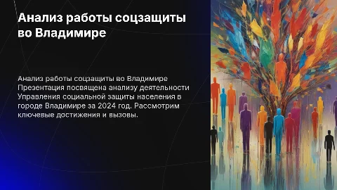 Анализ деятельности Управления соцзащиты во Владимире за 2024 год