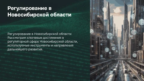 Регуляторика в Новосибирской области: результаты и векторы развития