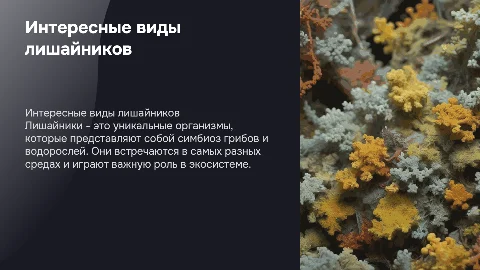Рассказ о нескольких видов интересных лишайников