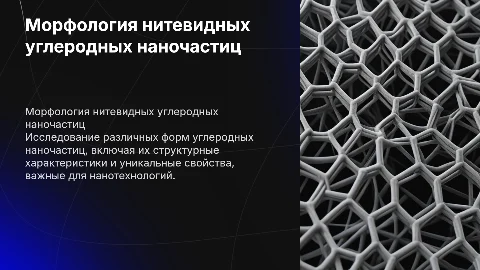 Морфологические формы нитевидных углеродных наночастиц