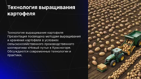 Технология выращивания и хранения картофеля в СПК «Новый путь»