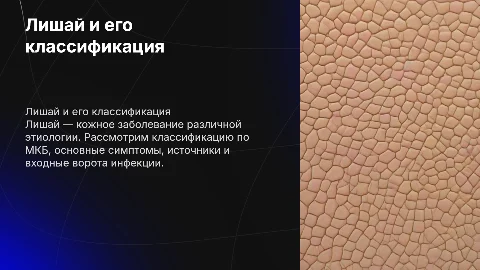 Лишай: классификация, симптомы и источники инфекции