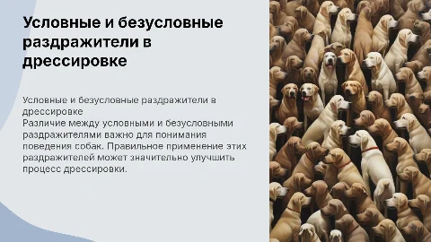 Условные и безусловные раздражители в дрессировке собак