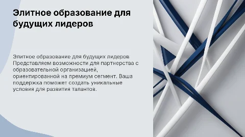 Презентация для потенциальных партнеров в образовании