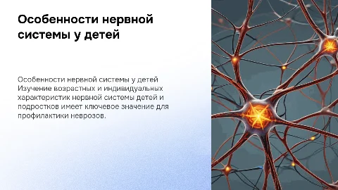 Возрастные и индивидуальные особенности высшей нервной деятельности