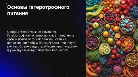 Гетеротрофное питание и обмен жиров в организме