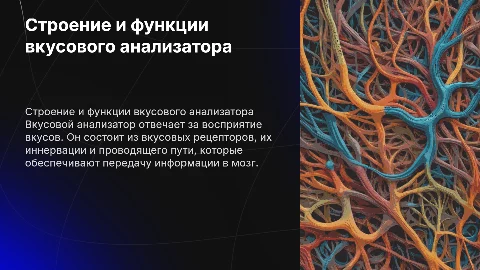 Вкусовой анализатор. Строение, иннервация, проводящий путь