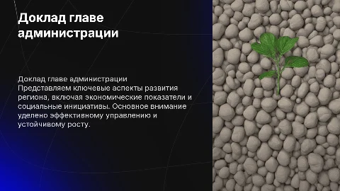 доклад главе администрации
