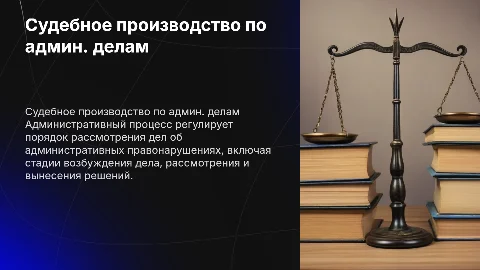 Судебное производство по делам об административным правонарушениям
