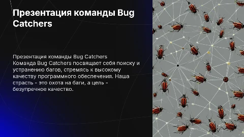 Презентация команды Bug Catchers: охота на баги и качество