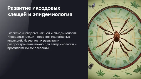 Развитие иксодовых клещей, эпидемиология