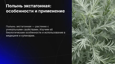 Полынь эстрагонная