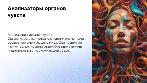 анализаторы органы чувств
