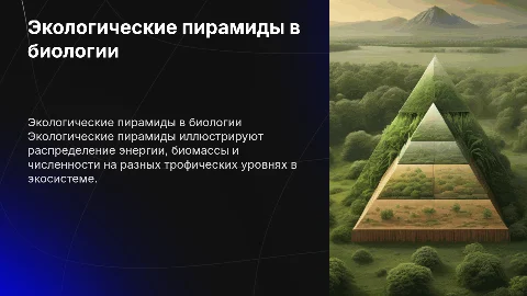 презентация по биологии на тему экологические пирамиды