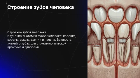 Презентация про строение зубов человека для студентов