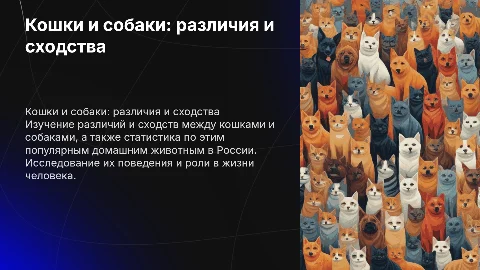 Кошки и собаки: различия и сходства в России