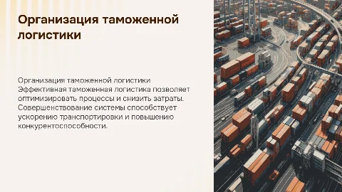 Организация и совершенствование таможенной логистики