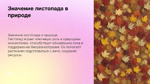 значение листопада в жизни природы