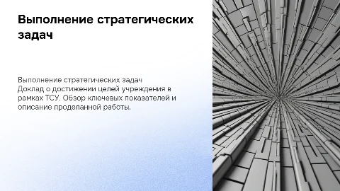 Докладываю о выполнении стратегических задач учреждения