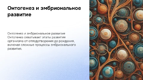 онтогенез. эмбриональное развитие