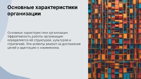 Основные характеристики организации