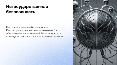 Негосударственная система обеспечения национальной безопасности