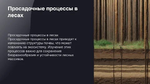 Просадочные процессы в лесах