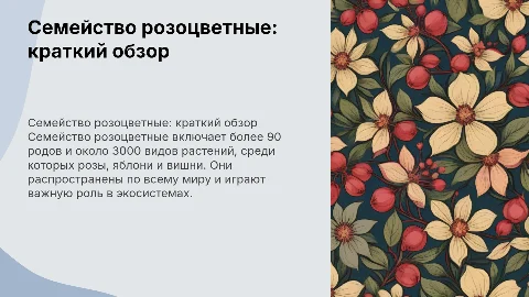 Информация про семейство розоцветные
