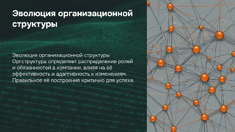 оргструктура